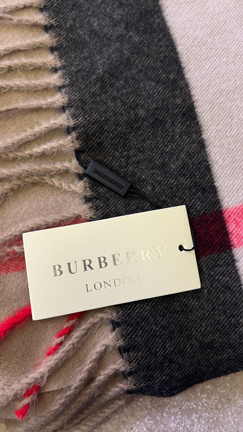 Burberry Winter Scarf